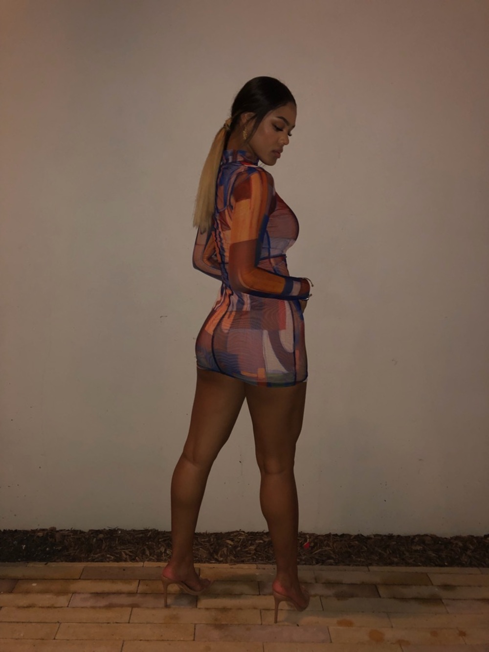 Fashion Nova Abstract Sheer Mesh Long Sleeve Mini Dress